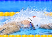 开云体育中国官网-蓝月之核，阿诺德如何用节奏之手，在2026世界杯F组谱写卡塔尔与韩国的命运交响曲