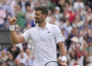 开云足球直播-关于戴维斯杯逆转联合杯，德约科维奇惊艳四座的信息