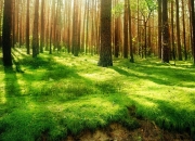 开云官方app入口-快船完胜尼克斯，马克西点燃赛场，团队篮球的胜利