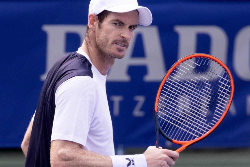 法国网球队横扫英国网球队，穆雷绝境逆转的简单介绍