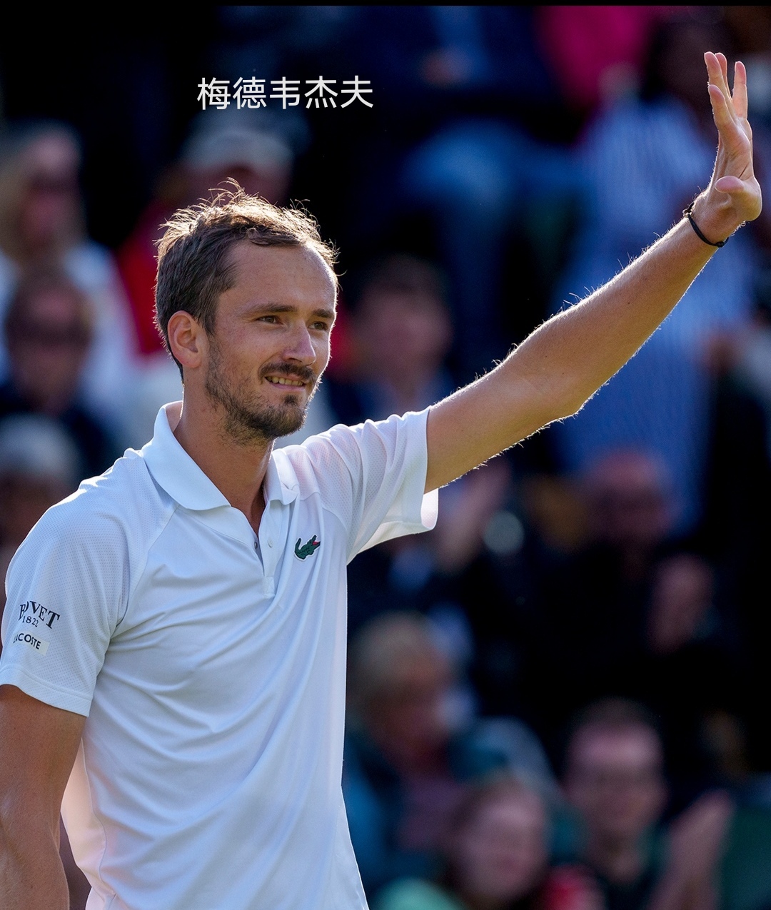 温网险胜ATP总决赛，梅德韦杰夫状态火热的简单介绍