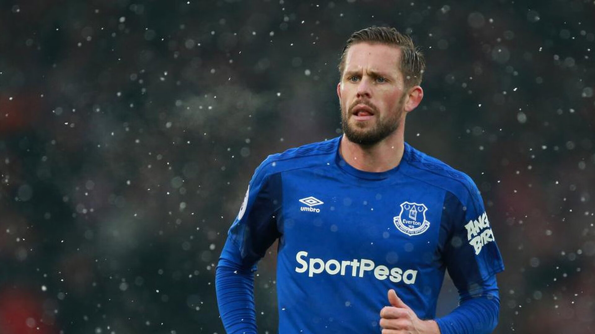 范弗利特生涯之夜,当开拓成为动词,广东王朝听见冰裂之声